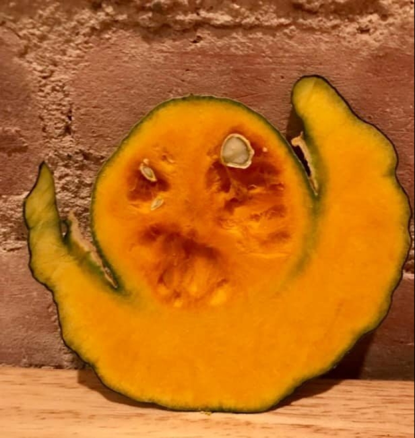 15 photos where ordinary things took a very unusual form 15 photos where ordinary things took a very unusual form