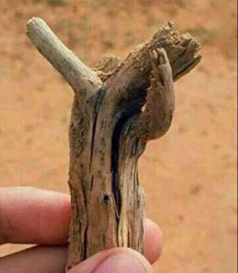 15 photos where ordinary things took a very unusual form 15 photos where ordinary things took a very unusual form