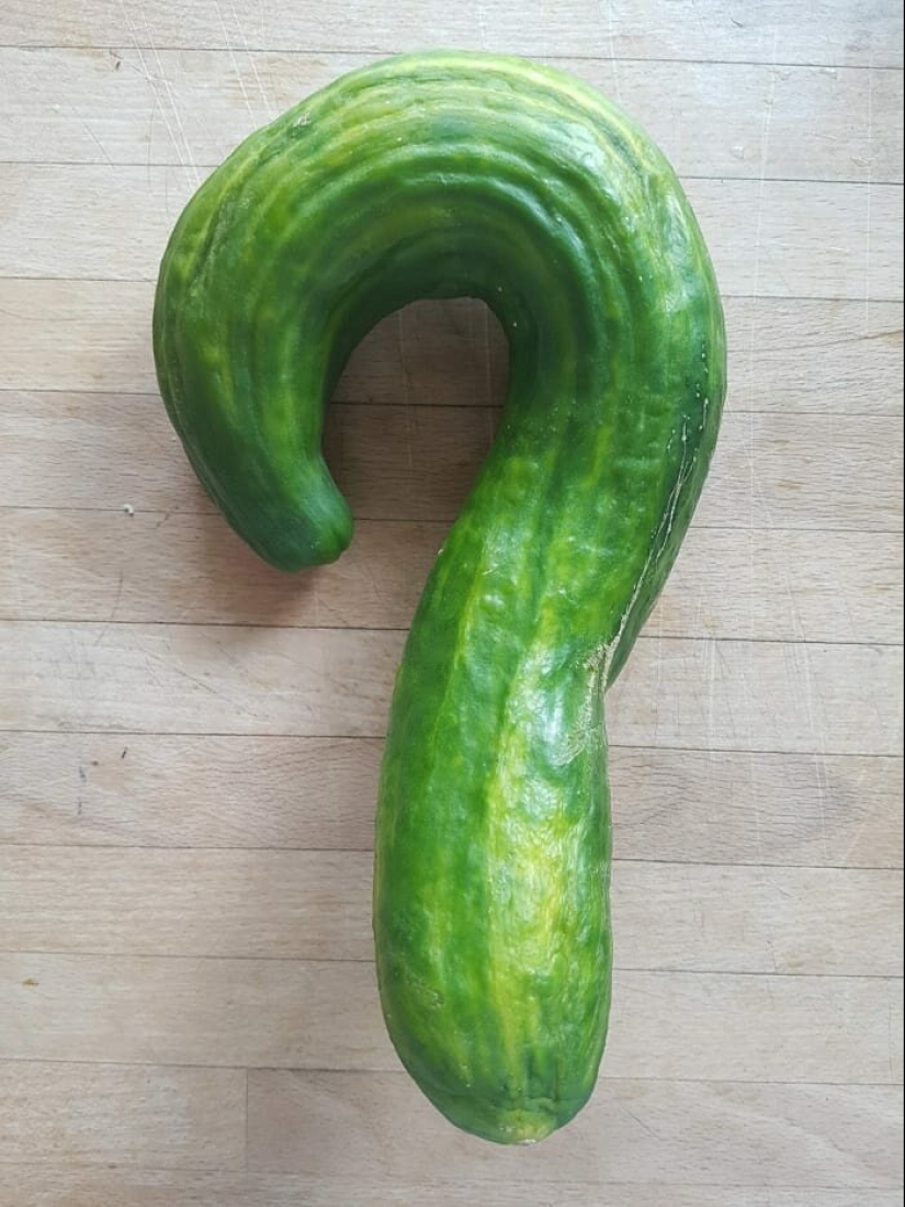 15 photos where ordinary things took a very unusual form 15 photos where ordinary things took a very unusual form