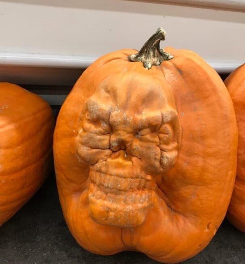 15 photos where ordinary things took a very unusual form 15 photos where ordinary things took a very unusual form