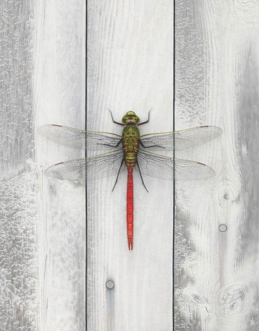 15 Shockingly Realistic Paintings