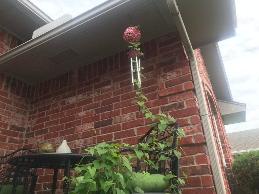 15 situaciones sorprendentes cuando la naturaleza irrumpió en la civilización y comenzó a dictar sus reglas