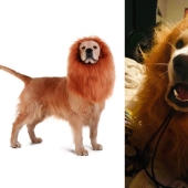 15 times when reality has completely destroyed all expectations