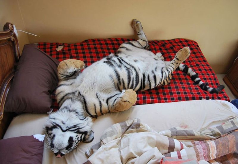 15 Tricks to Control Your Body 15 Tricks to Control Your Body