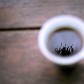 15 ways to use coffee grounds in an eco-friendly way