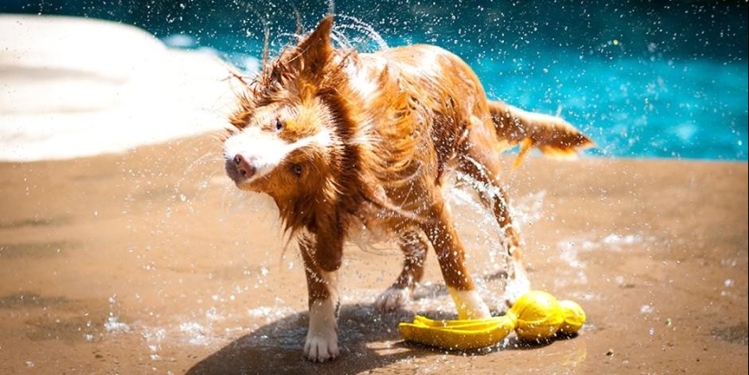 15 ways to use coffee grounds in an eco-friendly way