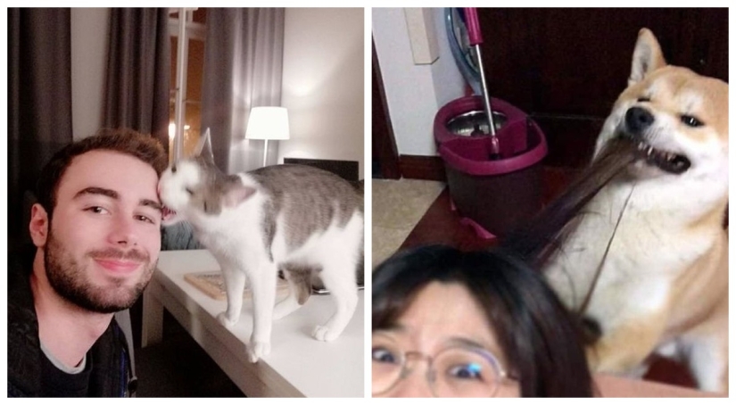 15 wayward animals who don't want to be photographed 15 wayward animals who don't want to be photographed