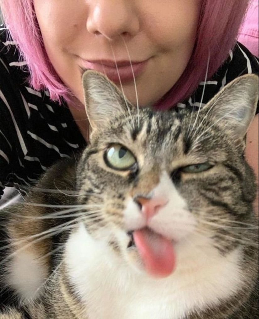 15 wayward animals who don't want to be photographed 15 wayward animals who don't want to be photographed