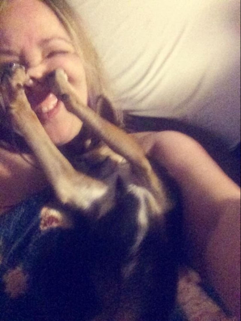 15 wayward animals who don't want to be photographed 15 wayward animals who don't want to be photographed