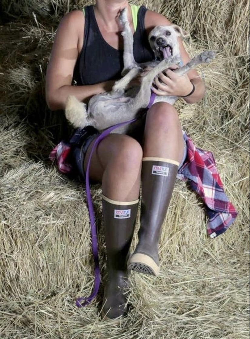 15 wayward animals who don't want to be photographed 15 wayward animals who don't want to be photographed