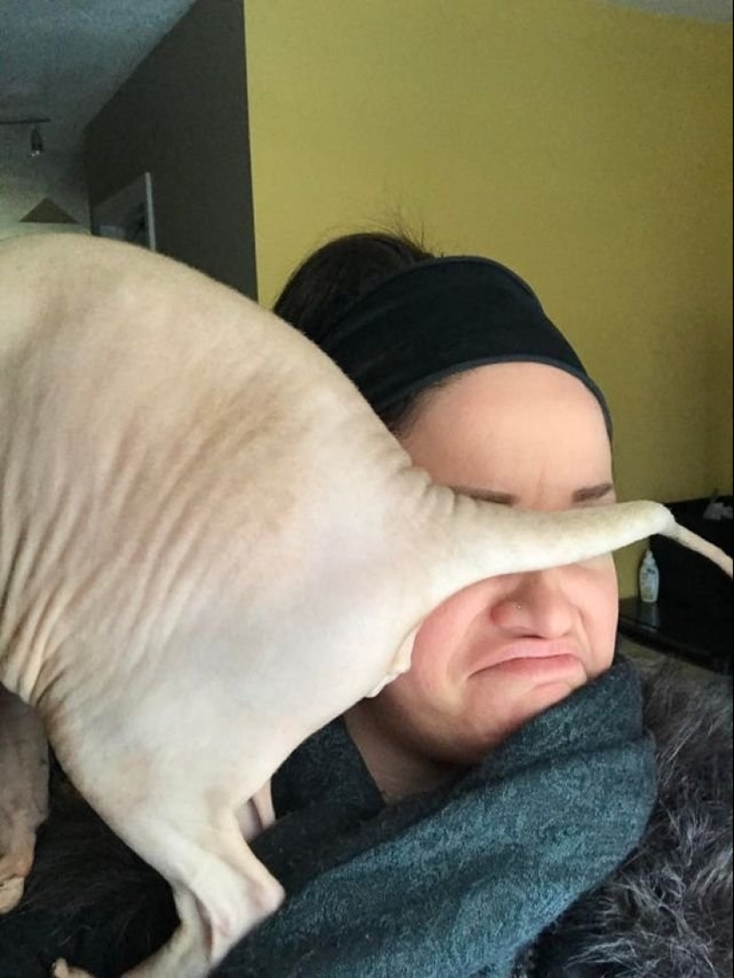 15 wayward animals who don't want to be photographed 15 wayward animals who don't want to be photographed