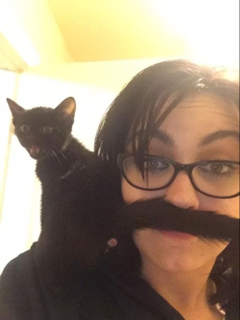 15 wayward animals who don't want to be photographed 15 wayward animals who don't want to be photographed