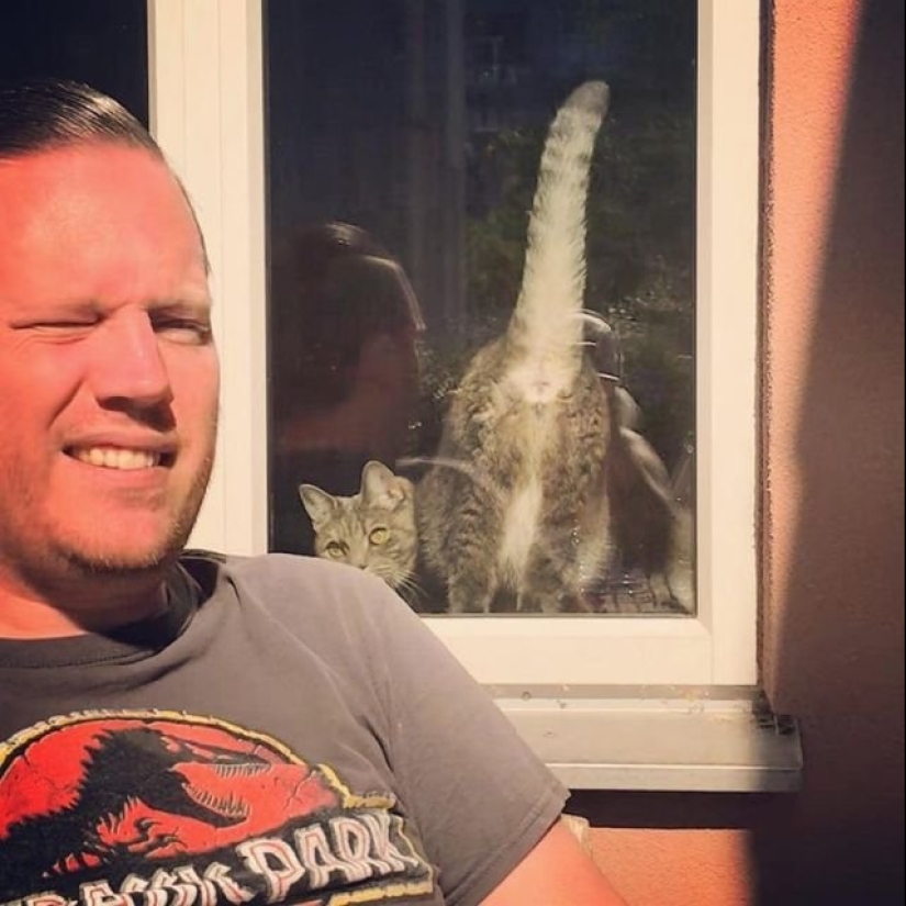 15 wayward animals who don't want to be photographed 15 wayward animals who don't want to be photographed