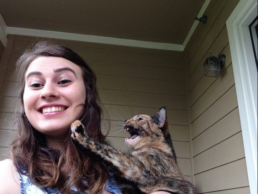 15 wayward animals who don't want to be photographed 15 wayward animals who don't want to be photographed