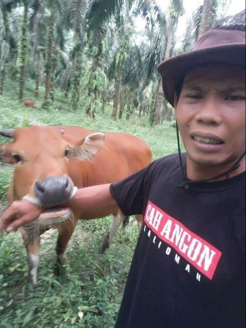 15 wayward animals who don't want to be photographed 15 wayward animals who don't want to be photographed