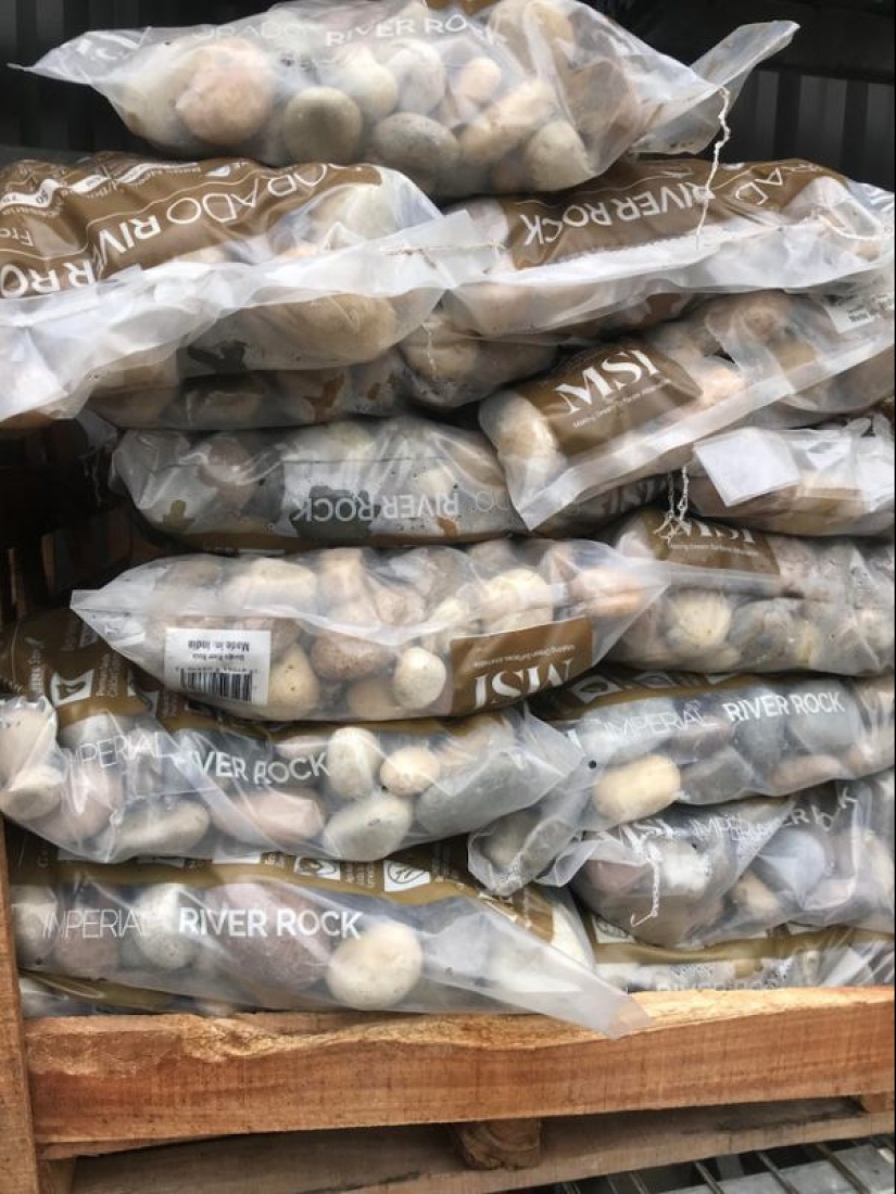 16 cosas que son muy similares a los alimentos, pero mejor no 16 cosas que son muy similares a los alimentos, pero mejor no