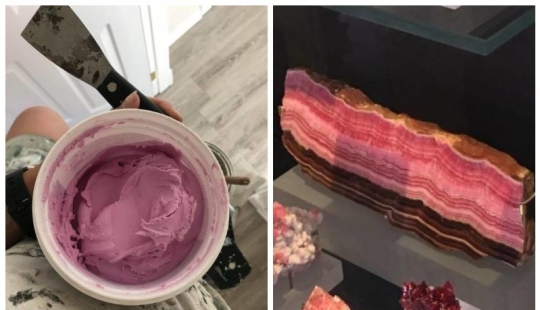 16 cosas que son muy similares a los alimentos, pero mejor no