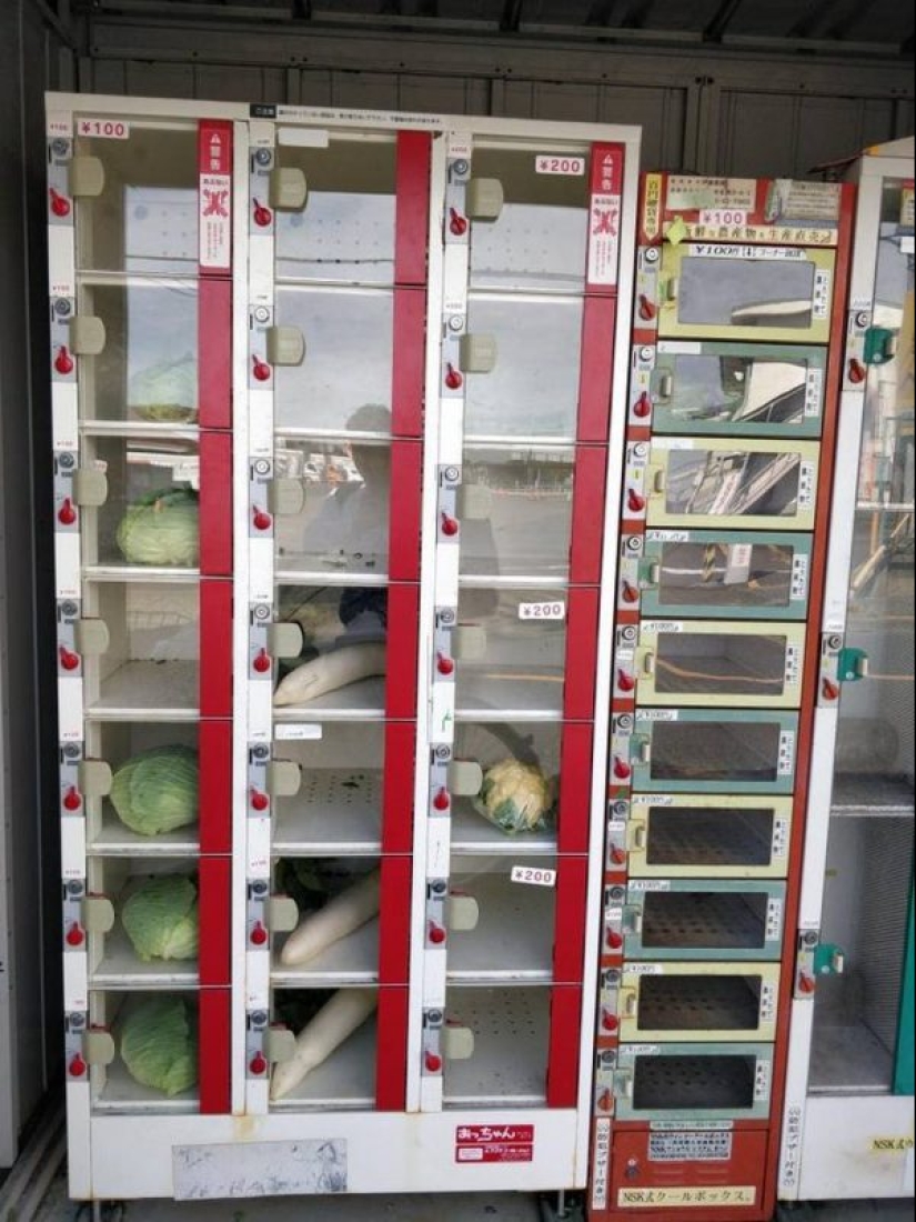 16 cosas y costumbres que se pueden encontrar solamente en Japón 16 cosas y costumbres que se pueden encontrar solamente en Japón