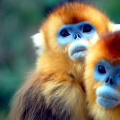 16 creatures that seem to be from another planet