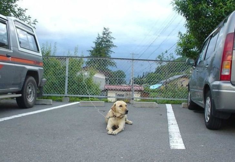 16 fun ways to help you take a parking space 16 fun ways to help you take a parking space