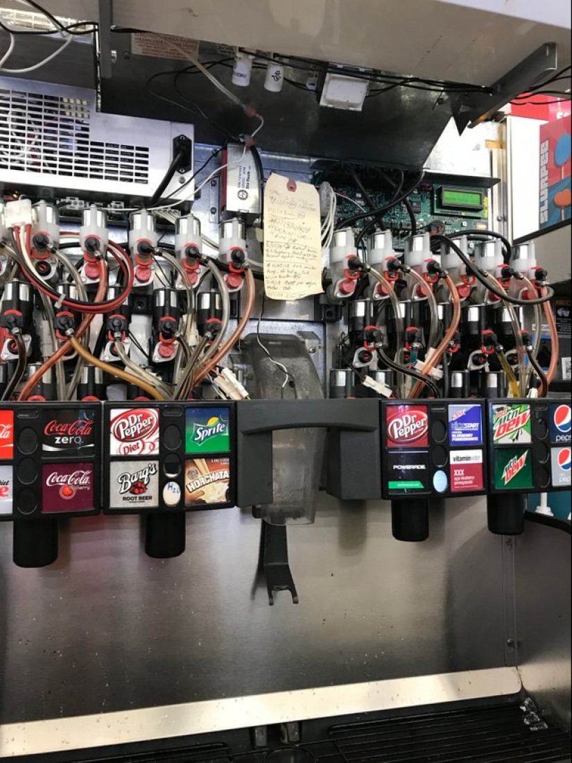 17 cosas simples que son mucho más interesantes por dentro que por fuera