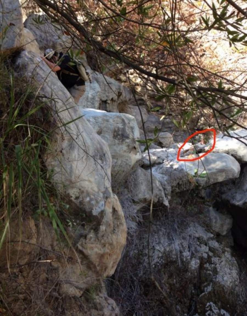 17 fotos que esconden historias inhumanamente espeluznantes 17 fotos que esconden historias inhumanamente espeluznantes