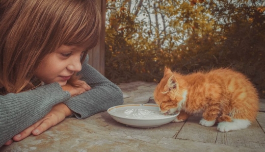 17 good facts that will make you believe in miracles 17 good facts that will make you believe in miracles