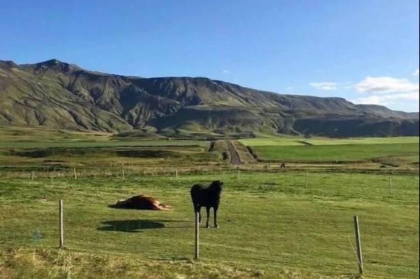 17 photos that don't get what's going on 17 photos that don't get what's going on