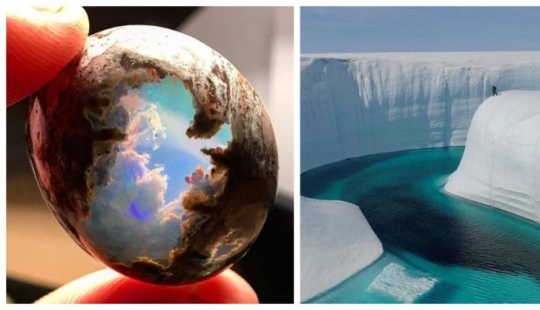 17 pleasant-looking photos in which everything is fine