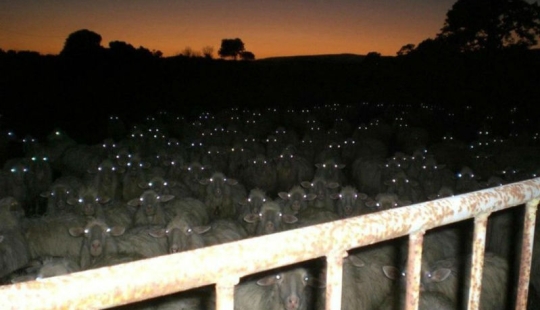 17 real-life shots that look like horror movie stills