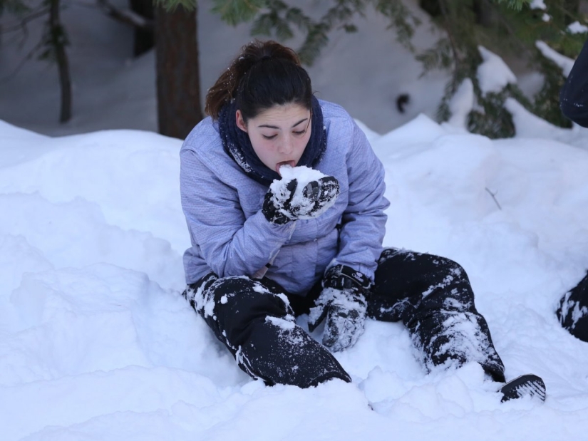 17 reglas que salvarán tu vida