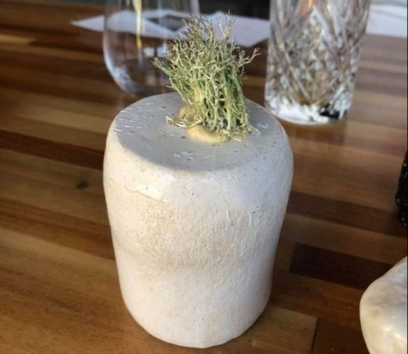 17 strange dishes from Michelin restaurants 17 strange dishes from Michelin restaurants