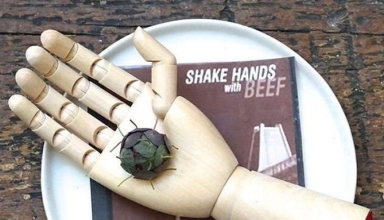 17 strange dishes from Michelin restaurants