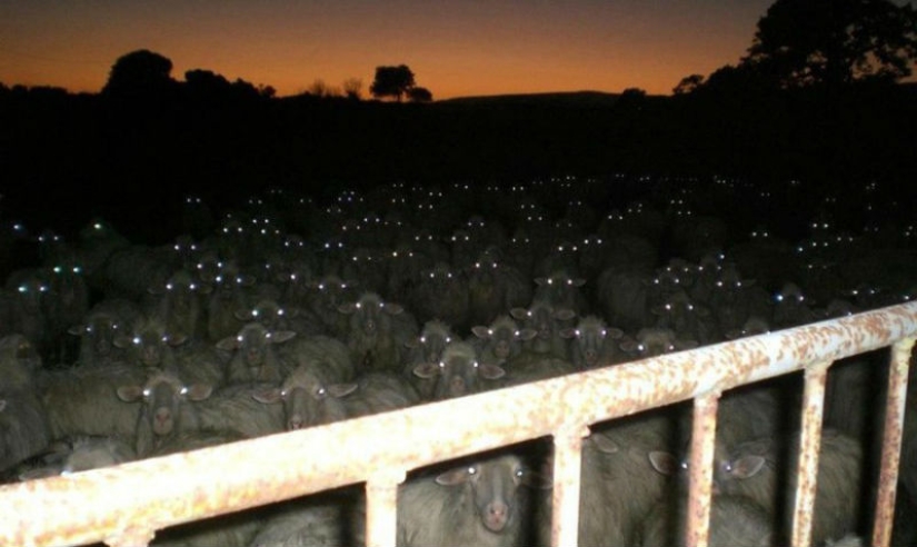 17 tomas de la vida real que parecen fotogramas de películas de terror