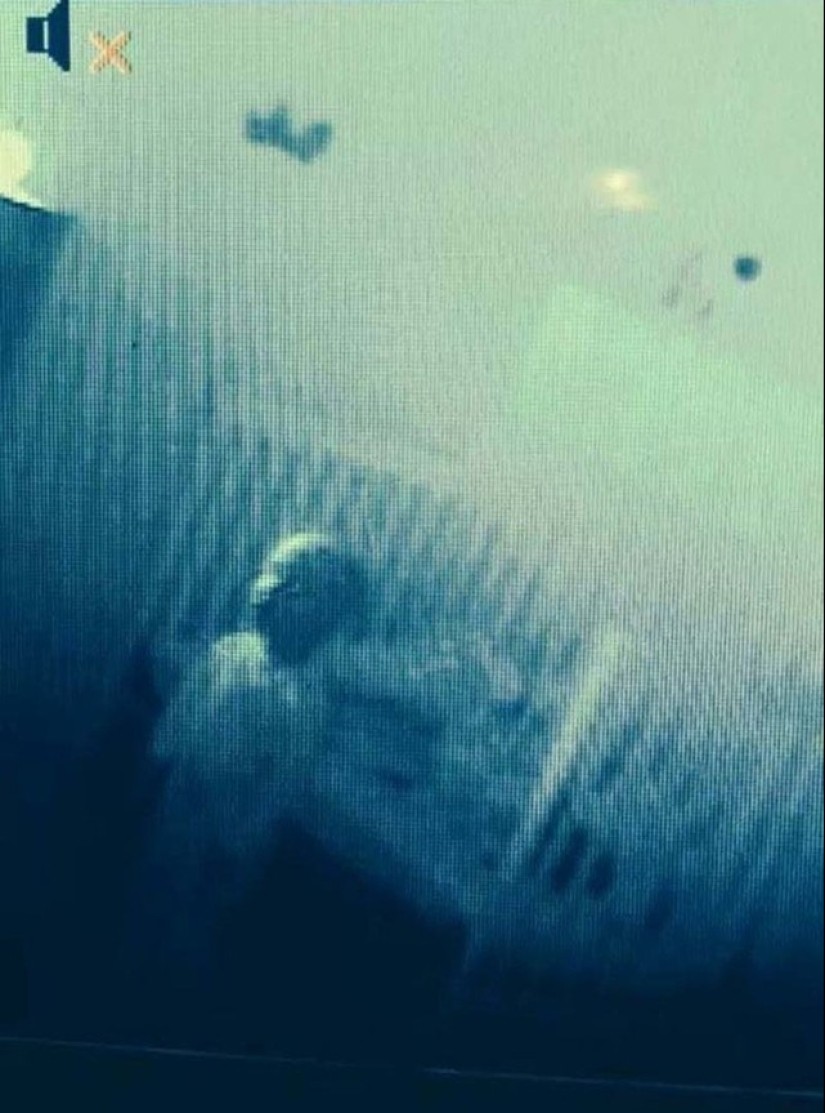 17 tomas de la vida real que parecen fotogramas de películas de terror