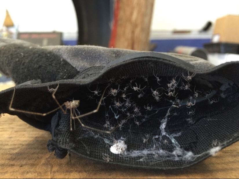 17 tomas de la vida real que parecen fotogramas de películas de terror