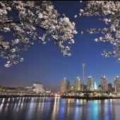 17 wonderful things that South Koreans are used to