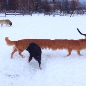 18 fotos panorámicas con quien algo está mal