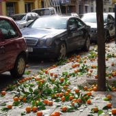 18 hermosas fotos que distraerán de la rutina diaria