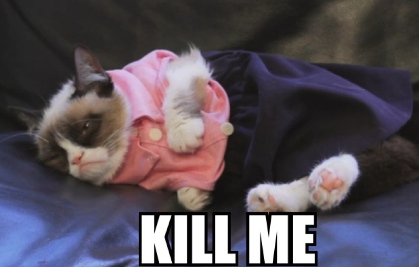 18 peculiaridades en la cultura estadounidense que los propios estadounidenses ni siquiera notan 18 peculiaridades en la cultura estadounidense que los propios estadounidenses ni siquiera notan