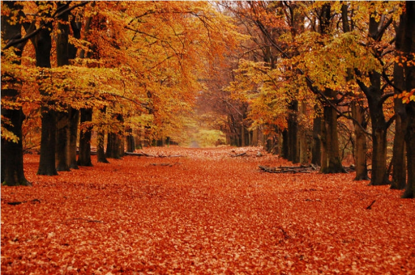 19 reasons to love the Netherlands 19 reasons to love the Netherlands