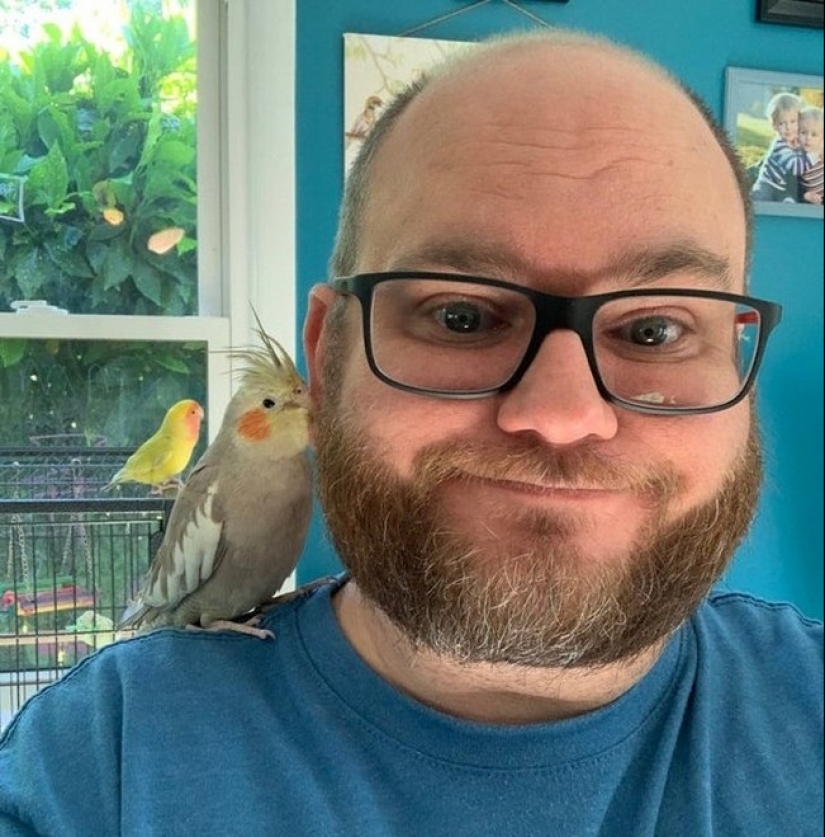 20 accidentes en la matriz: estas fotos son completamente reales, sin photoshop 20 accidentes en la matriz: estas fotos son completamente reales, sin photoshop