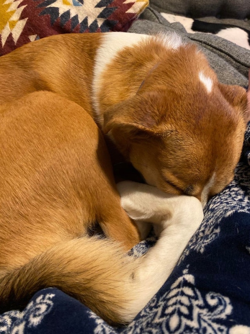 20 accidentes en la matriz: estas fotos son completamente reales, sin photoshop 20 accidentes en la matriz: estas fotos son completamente reales, sin photoshop