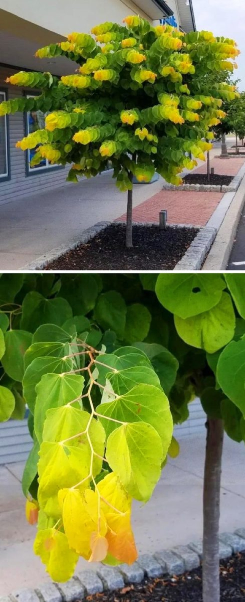 20 accidentes en la matriz: estas fotos son completamente reales, sin photoshop 20 accidentes en la matriz: estas fotos son completamente reales, sin photoshop