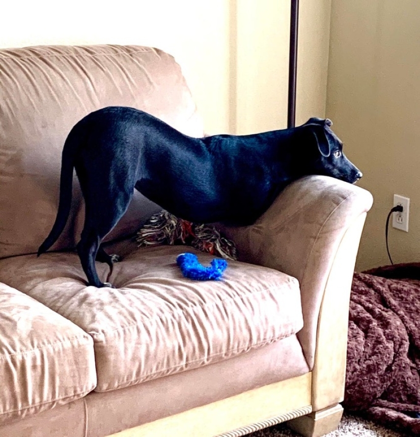 20 accidentes en la matriz: estas fotos son completamente reales, sin photoshop 20 accidentes en la matriz: estas fotos son completamente reales, sin photoshop