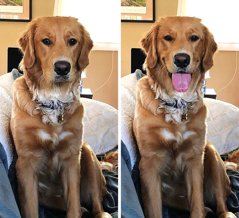 20 amazing photos that clearly demonstrate the power of "before and after"