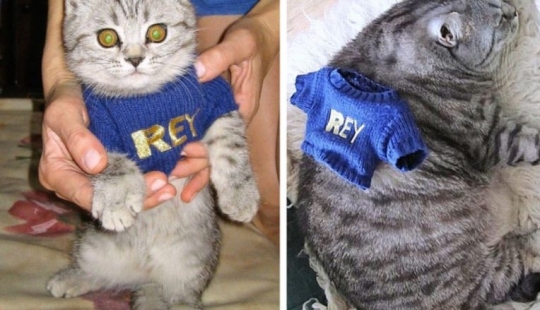 20 amazing photos that clearly demonstrate the power of "before and after"