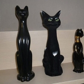 20 animales que se disfrazan de dioses