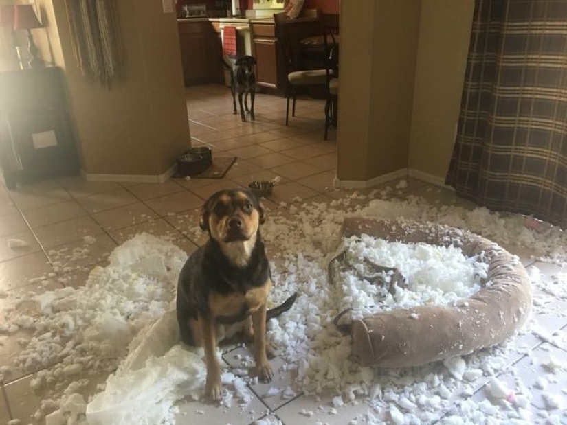 20 casos ofensivos cuando alguien es muy desafortunado 20 casos ofensivos cuando alguien es muy desafortunado