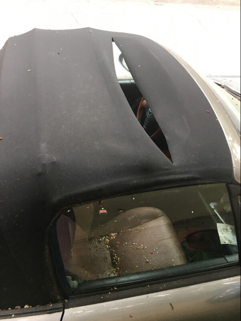 20 casos ofensivos cuando alguien es muy desafortunado 20 casos ofensivos cuando alguien es muy desafortunado